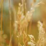 バストの大きい女性のコンプレックスや悩み